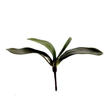 Imagem de Folha Orquidea Artificial Verde 22 Cm  - D'Rossi