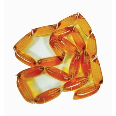 Imagem de Melzinho - 20 Sachês de 4,5g - Mel Puro Florada Silvestre