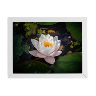 Imagem de Quadro Nymphaea Candida Água Flor Moldura Branca 60X40Cm - Plimshop