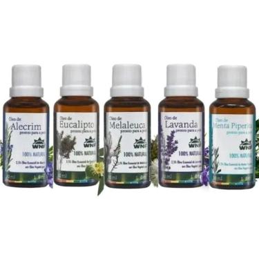 Imagem de Kit 5 Óleos Essenciais Pronto Para Uso Na Pele 30ml - Wnf