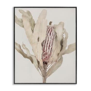 Imagem de Stupell Industries Arte giclée emoldurada cinza com bordas botânicas de Banksia ocultas, design de Sisi e Seb, 35,5 x 28,5 cm