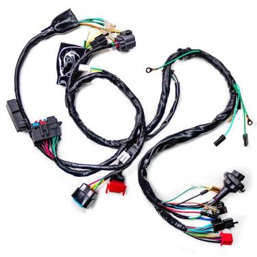 Imagem de Fiacao Principal (chicote) Keisi Cbx 250 Twister 01 A 05 [F016]