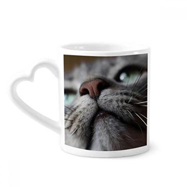 Imagem de Caneca de foto de gato com animal olhando para cima, copo de coração de vidro