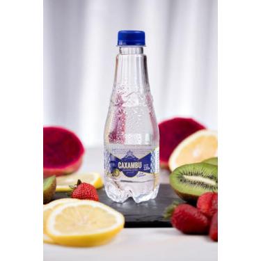 Imagem de Água Mineral Gourmet Caxambu S/g - Pack 12X330ML