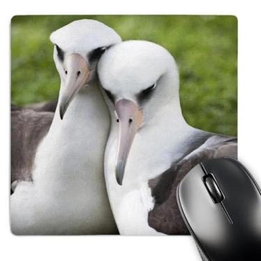 Imagem de 3dRose Mouse pad Laysan Albatross Bird Couple Us12 Dgi0057 Daisy Gilardini (mp_143946_1)
