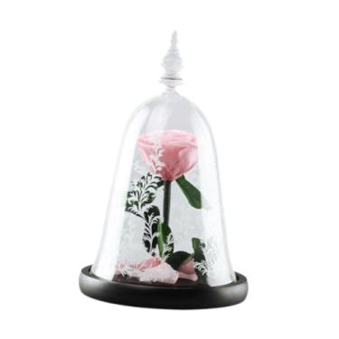 Imagem de Bothyi Presente de flor de rosa Presente romântico Presente de dia dos namorados Ornamento decorativo de mesa Rosa eterna para esposa Namorada Aniversário, Luz Rosa