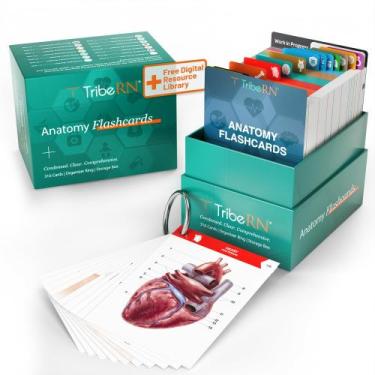 Imagem de Flash Cards TriBern Anatomy and Physiology 320 Study - Tribe RN