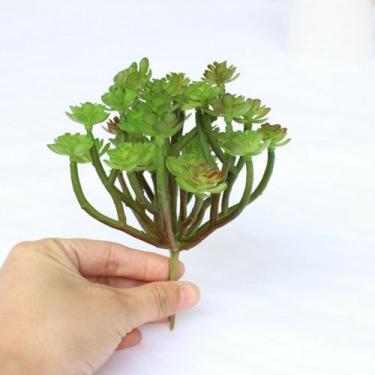 Imagem de 10 plantas artificiais suculenta araucária em silicone decoração de ca