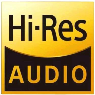 Imagem de Hi-Res adesivos de áudio para Sony Walkman  Fiio  Shanling  Ibasso  Iriver  Cayin  MP3 DAP e todos