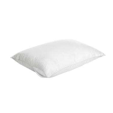 Imagem de Protetor Capa De Travesseiro Antiácaro Com Zíper - Kit com 2 Diversas Cores Colchão Dormir Quarto (Branco, 49cm x 69cm)
