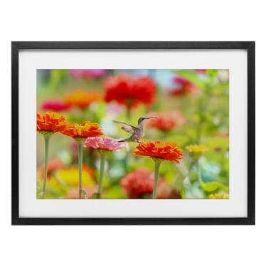 Imagem de Stupell Industries Impressão emoldurada preta beija-flor Sugar Fairy Design sob vidro por Carrie Ann Grippo-Pike, 17 x 23