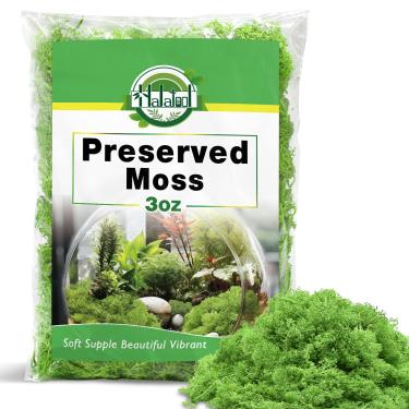 Imagem de Halatool Musgo preservado para artesanato, musgo de rena verde para decoração faça você mesmo arte em vaso acessórios de jardim de fadas centros de mesa casamento Natal decoração de festa de fada (85