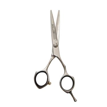 Imagem de Tesoura Fio Navalha Salles Profissional 5.5 Prata