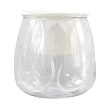 Imagem de Vaso Esférico Mini Transparente Para Suculentas, Plantas-Aranha, Ervas