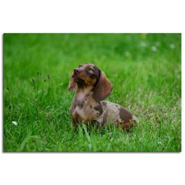 Imagem de Dachshund Canvas Prints Puppy Grass Poster Wall Art For Home 1 peça Decorações Noframed 30.5 cmx20.3 cm