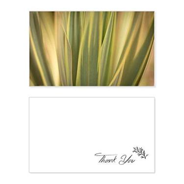 Imagem de Plantar Folhas Naturais Foto Cartão de Agradecimento Aniversário Aniversário Recebimento Casamento Agradecimento