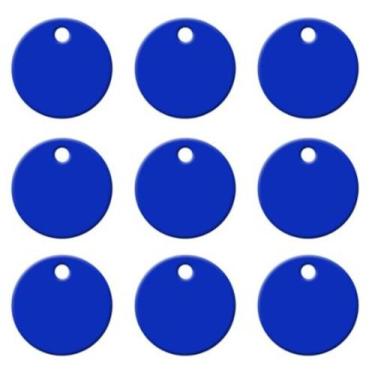 Imagem de Plaquinha de Identificação para pets e animais de estimação com gravaç