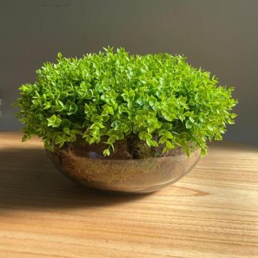 Imagem de Arranjo Grande Centro de Mesa Vaso Incolor com Verdinho - Decore Fácil