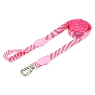 Imagem de Mood Pet Coleira Guia 10 Metros Para Cães Cachorro Adestramento Passeio Porte Grande Médio Pequeno (Queens, P)