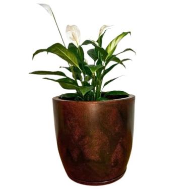 Imagem de Vaso De Planta Grande Bojo Com Prato G (marrom)