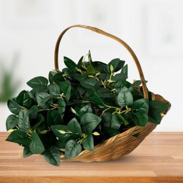 Imagem de 7 Peperômias Artificiais com Folhagens Realistas Perfeita para Composi