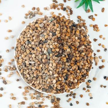 Imagem de VINICS Cascalho de aquário 4,5 kg, cascalho de aquário de 3-6 mm, cascalho de ervilha cacto suculenta para plantas de interior, rochas de rio para jardinagem, vasos de flores, enchimentos de vasos