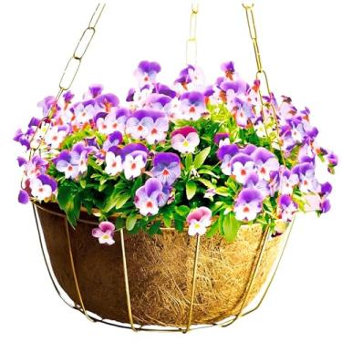 Imagem de Vaso De Planta Pendente Fibra de Coco Com Suporte E Corrente