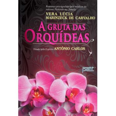 Imagem de Livro - A Gruta das Orquídeas - Vera Lúcia Marinzeck de Carvalho