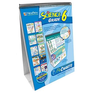 Imagem de Science Skills Curriculum Mastery Flip Chart, Grade 6