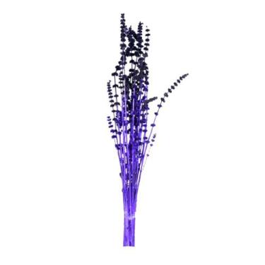 Imagem de Rubi Roxo Desidratado - Oficina do Florista