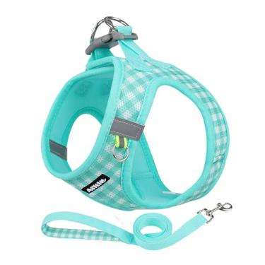 Imagem de AIITLE Easy Walk – Conjunto de coleira e coleira para cães, não puxa, malha respirável para o verão, listras refletivas, ajustável, à prova de fuga, para uso ao ar livre, para cães médios, turquesa, G