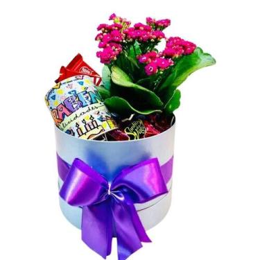 Imagem de Box de Luxo Kalanchoe - CESTAS LARA 