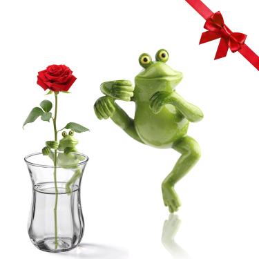 Imagem de CIYSHO Amigo de propagação de plantas, amigo de suporte de propagação de plantas de sapo, suporte exclusivo para plantas de casa de interior, caules, brotos, mudas e brotos, acessórios de cuidados com