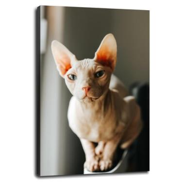 Imagem de Impressão em tela Sphynx Nature Cat Poster arte de parede para casa 1 peça decorações com moldura 30.5 cm x 20.3 cm
