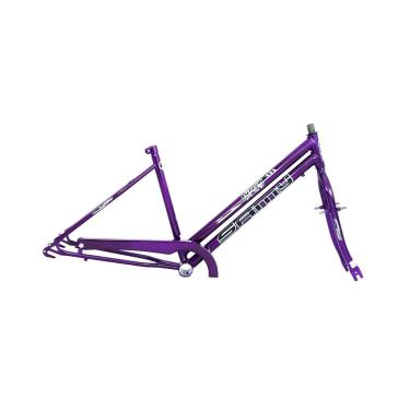 Imagem de Quadro Bicicleta Triciclo 26-Unissex