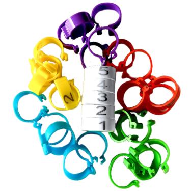 Imagem de Love "N" Creatures Anéis de perna multicoloridos para peru e gansos, 30 marcadores numerados de 3,2 a 6,8 kg, pássaros, prendedor no tornozelo, para aves de capoeira, peru, pato, gansos, guiné,