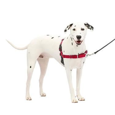 Imagem de PetSafe Peitoral Easy Walk (M/L) (Vermelho)
