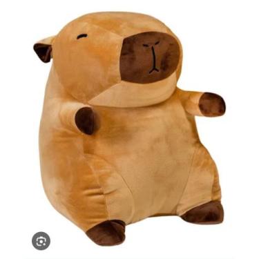 Imagem de Capivara sentada - Mãe bola