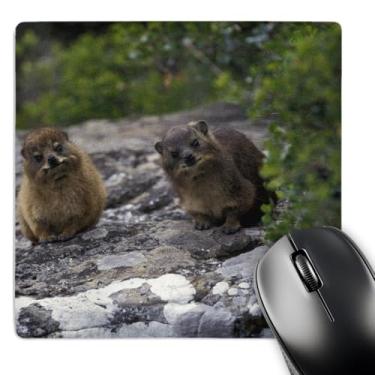 Imagem de 3dRose Mouse pad LLC 20 x 20 x 0,63 cm, África do Sul, Capa da Boa Esperança. Rock Hyrax Wildlife-As42 Pso008 - Paul Souders (mp_76242_1)