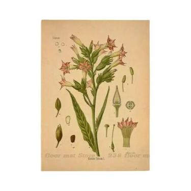 Imagem de Pôster Vintage De Flores Botânicas DIY Para Decoração De Quarto, Casa,