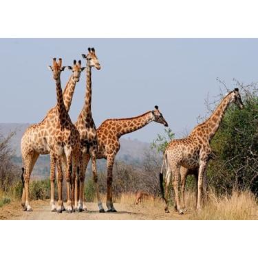 Imagem de Quebra-Cabeça Cognitivo Reabilitação para Idosos - Animais - 40 peças - 6 unidades