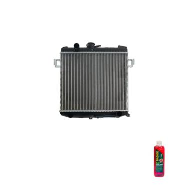 Imagem de Kit Radiador GM Chevette 500 + Aditivo Radiador Radiex R1952 Rosa