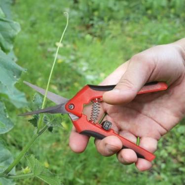 Imagem de 1 tesoura de poda, tesoura de corte de jardim com lâminas curvas, tesouras de poda manual de jardinagem, tesouras de poda de bonsai de precisão revestidas de titânio, cortadores de flores convenientes