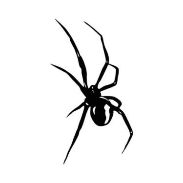 Imagem de Adesivos Impermeáveis De Aranha Para Motocicleta, Decalques De Vinil D