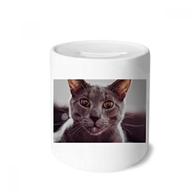 Imagem de DIYthinker Animal Grande Olho Gato Cinza Fotografia Caixa Dinheiro Caixa de Cerâmica Porta-Moedas Presente Cofrinho