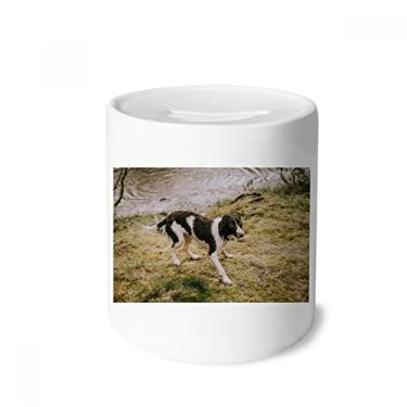 Imagem de DIYthinker Caixa de moedas de cerâmica com imagem de animal preta e branca para presente de cofrinho