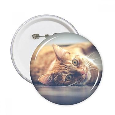 Imagem de Imagem de fotografia de gato amarelo animal, alfinetes redondos, emblema, botão, emblema, acessórios, decoração, 5 peças