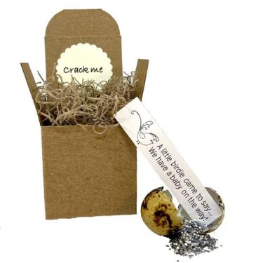 Imagem de Anúncio de gravidez: ovo de codorna, surpresa, jardim de codornas - QU