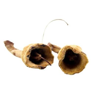 Imagem de Sementes Cascas Diversas para Decoração Flores Seca Variadas - Imbiruç