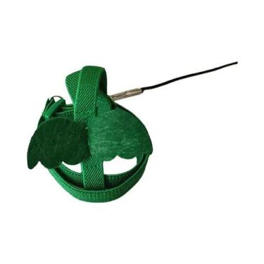 Imagem de Arnês De Voo Para Papagaio, Calopsita E Caturra Com Corda Para Treinam